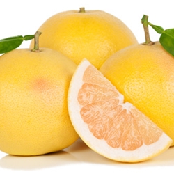 Perfumers Ice White Grapefruit Citrus Key Accord White Grapefruit Citrus Key Accord Fragrance