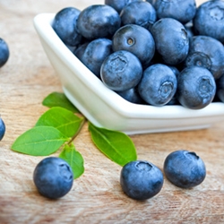 Blueberry (Wild) Flavor
