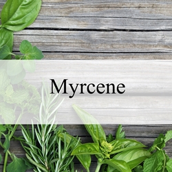 Myrcene **