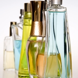Lavender Fragrance Oil (Premium)