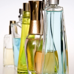 Myrrh Fragrance Oil (Premium)