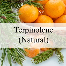 Terpinolene (Natural) **