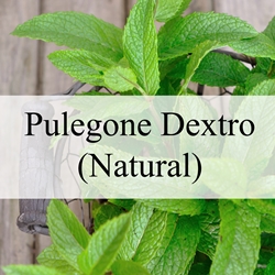 Pulegone Dextro (Natural)