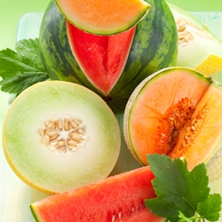 Melon Givco 150/2