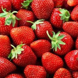 Strawberry Essence (Natural)- Fragrance **