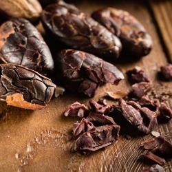 Cocoa Roasted Extract 10% MPG