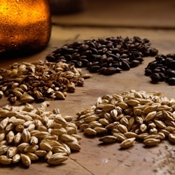 Barley Roasted Extract 40% ETH (Biolandes) **