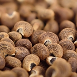 Ambrette Seed Oil **