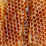Honey Signature (Firmenich)