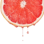 Grapefruit Base 15794 (Firmenich)