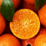 Tangerine Flavor **