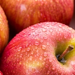 Fuji Apple Flavor