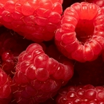 Raspberry (Ripe) Flavor