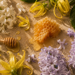 Honeyflor (Bedoukian) **