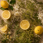 Goldenrod Oil **