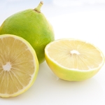 Bergamot Givco 104/5 - Fragrance **