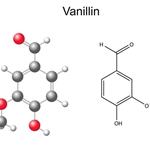Vanillin 10% (PG)