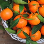 Orange Mandarin Flavor