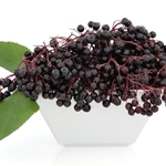 Elderberry Flavor
