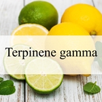 Terpinene gamma (Natural)**