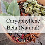 Caryophyllene Beta (Natural)