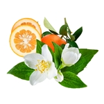 Citrus Floral