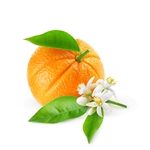 Neroli & Orange Blossom