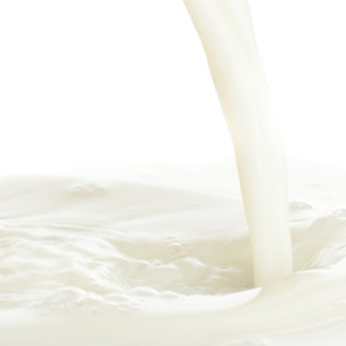 Malted milk