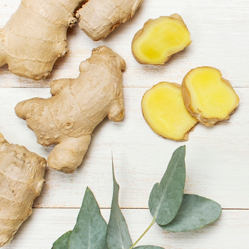 Perfumers Apprentice Ginger (CO2 Extract)