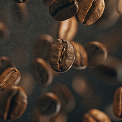 Coffee CO2 Extract **