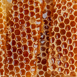 Honey Signature (Firmenich)