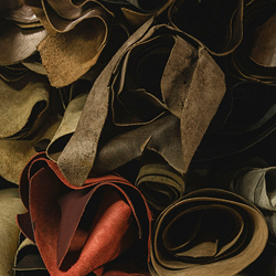 Leather MD