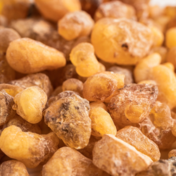 Olibanum (Frankincense) Biolandes **