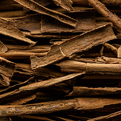 Cinnamyl Cinnamate