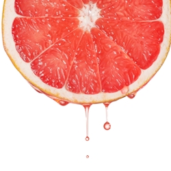 Grapefruit Base 15794 (Firmenich)