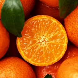 Tangerine Flavor **