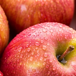 Fuji Apple Flavor