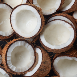 Coconut CO2 Extract**