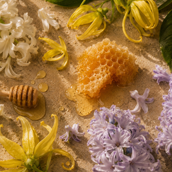 Honeyflor (Bedoukian) **