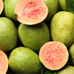Guava Base 270237 (Firmenich) **