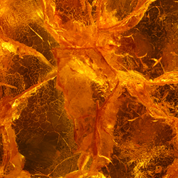 Clary Amber®
