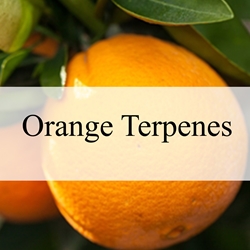 Orange Terpenes