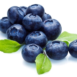 Blueberry Extra