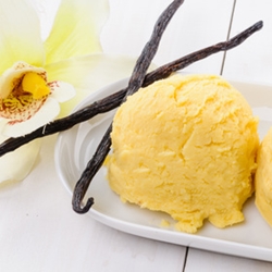 Vanilla Bean Gelato Flavor