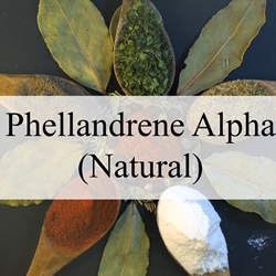 Phellandrene Alpha (Natural) **