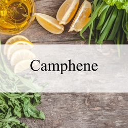 Camphene (Natural)***
