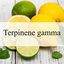 Terpinene gamma (Natural) **
