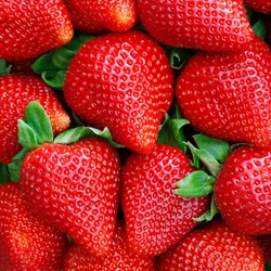 Sweet Strawberry Flavor**